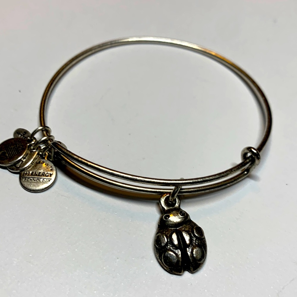3/$15 Alex and Ani Ladybug silver bracelet